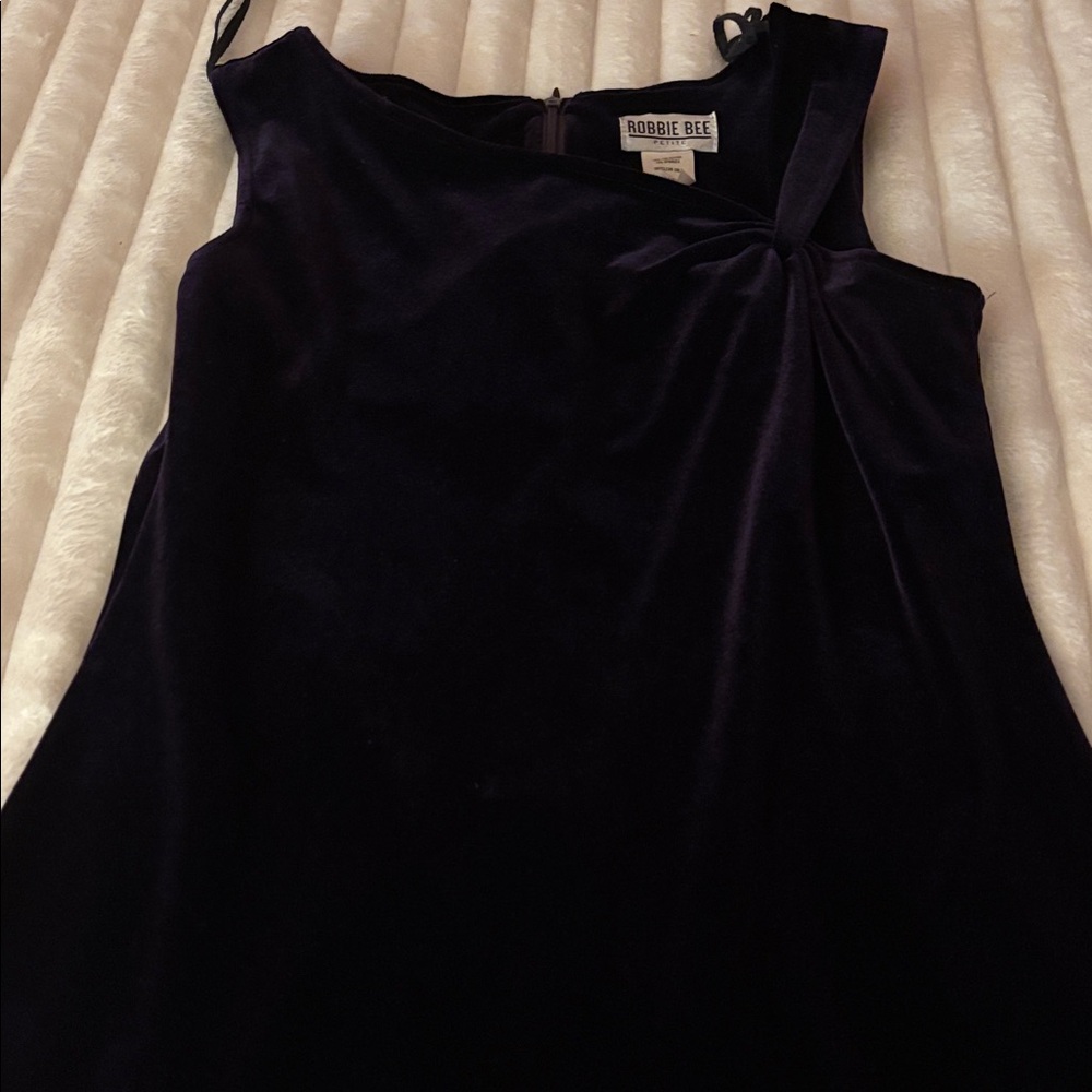 Robbie Bee Dark Purple Velvet Dress